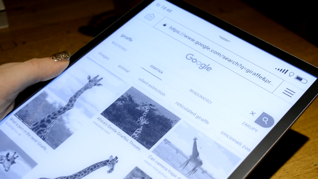 Przeglądarka internetowa na PocketBooku InkPad X
