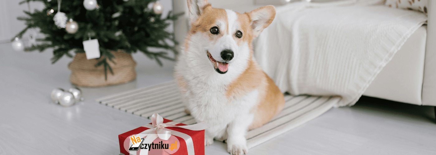 Jaki czytnik e-book wybrać na święta 2025?