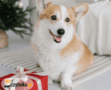 Jaki czytnik e-book wybrać na święta