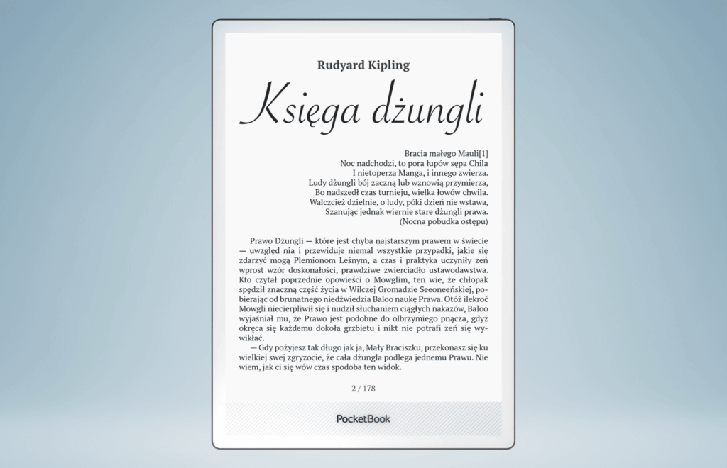 Monochromatyczny czytnik e-book