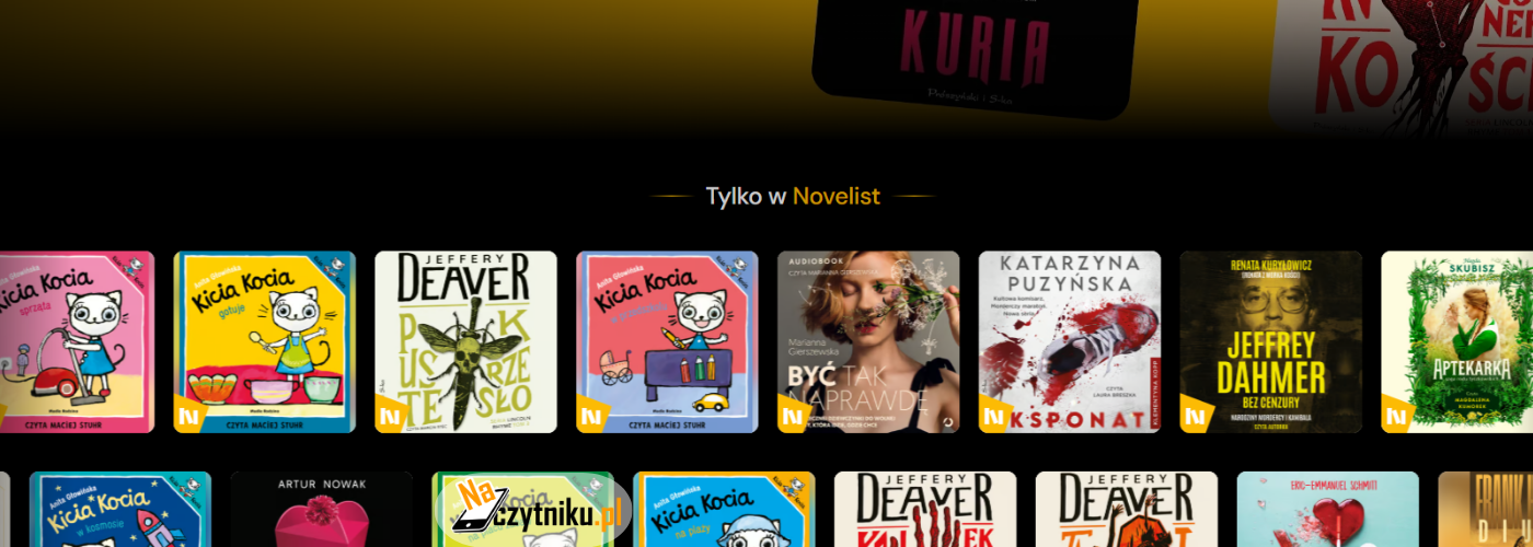 Novelist już działa. Ile kosztuje abonament?